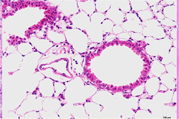 东极生物保健品